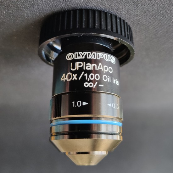 40x objective