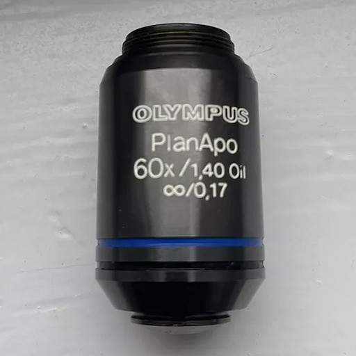 60x objective